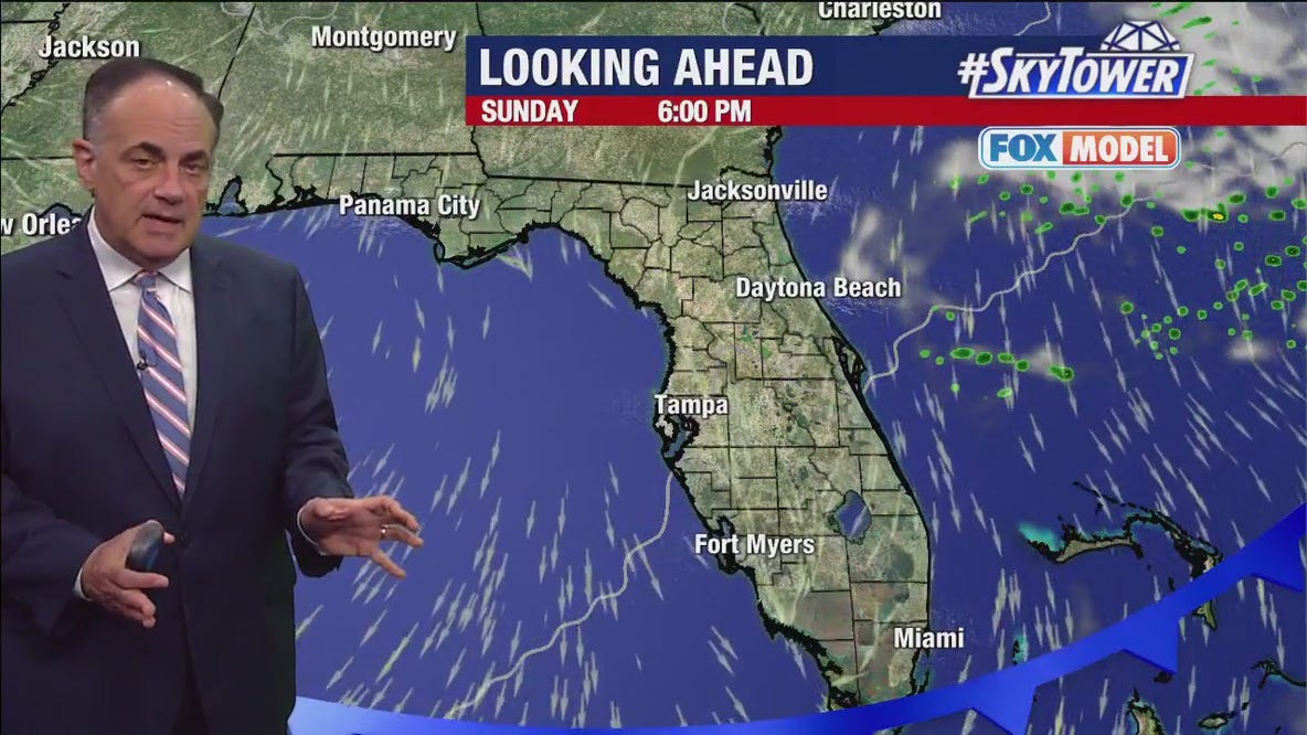 Tampa Weather | Pleasant weather into March